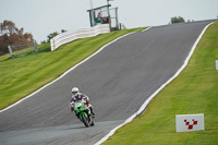 Lower Group Green Bikes